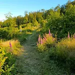 Rauszeit-tiny Waldblick