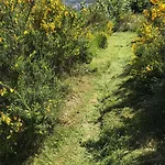 Rauszeit-tiny Waldblick