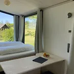 Rauszeit-tiny Waldblick *