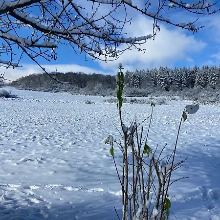 Appartement Rauszeit-tiny Waldblick Bad Endbach