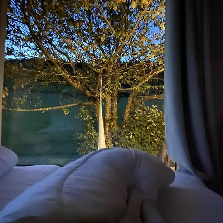 Rauszeit-tiny Waldblick *