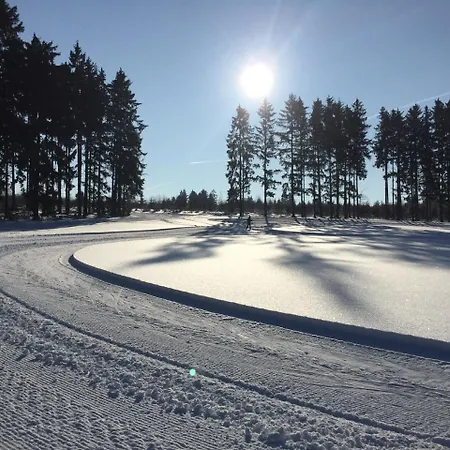 Rauszeit-tiny Waldblick