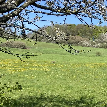 Rauszeit-tiny Waldblick Bad Endbach