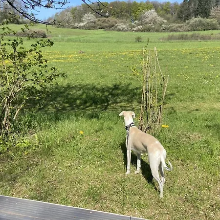 Apartment Rauszeit-tiny Waldblick Bad Endbach