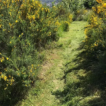 Rauszeit-tiny Waldblick