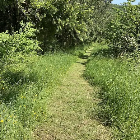 Rauszeit-tiny Waldblick Apartment *
