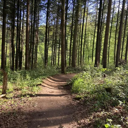 Rauszeit-tiny Waldblick Apartamento