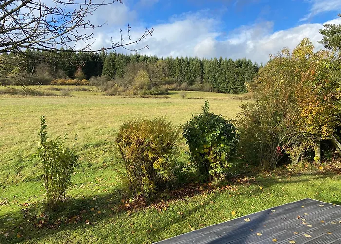 Rauszeit-tiny Waldblick