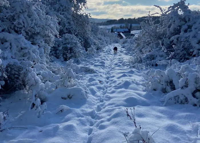Rauszeit-tiny Waldblick Appartement