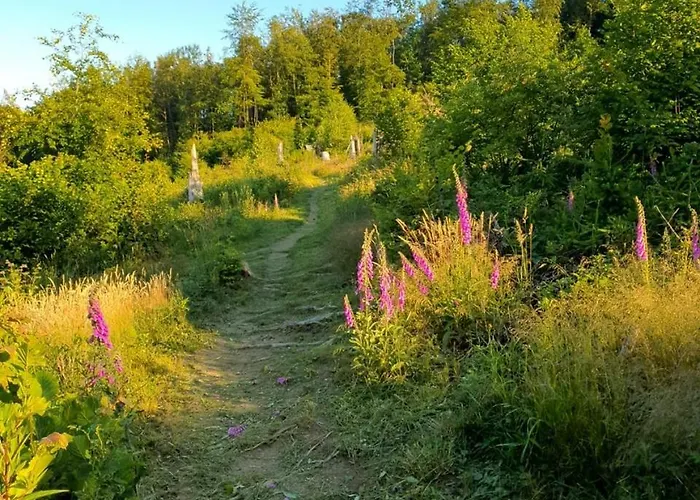 Rauszeit-tiny Waldblick