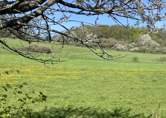 Rauszeit-tiny Waldblick Bad Endbach