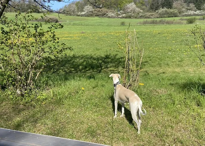 Appartement Rauszeit-tiny Waldblick Bad Endbach