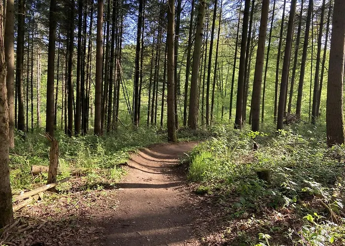 Rauszeit-tiny Waldblick Appartement